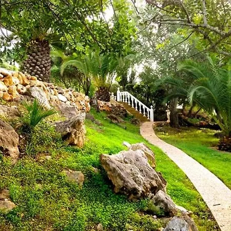 Serra & Mar Country House * Алвор
